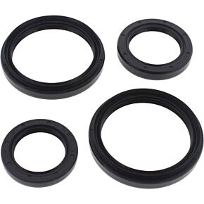 ALL BALLS Differential Seal Kit