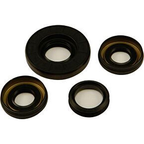 ALL BALLS Differential Seal Kit