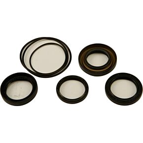 ALL BALLS Differential Seal Kit