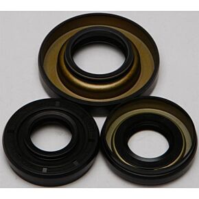 ALL BALLS Differential Seal Kit