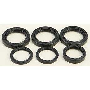 ALL BALLS Differential Seal Kit
