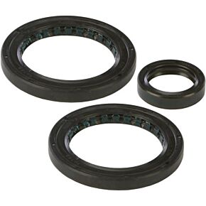 ALL BALLS Differential Seal Kit