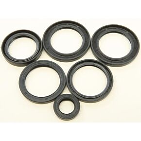 ALL BALLS Differential Seal Kit