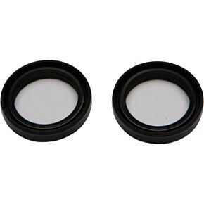 ALL BALLS Fork Seal Kit
