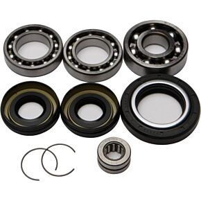 ALL BALLS Front Differential Bearing And Seal Kit