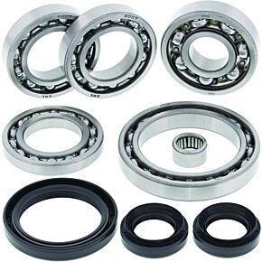 ALL BALLS Front Differential Bearing And Seal Kit