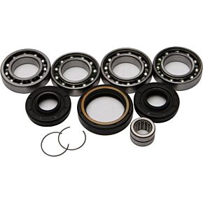ALL BALLS Front Differential Bearing And Seal Kit