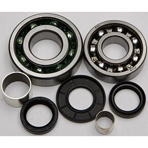 ALL BALLS Front Differential Bearing And Seal Kit