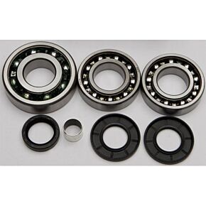 ALL BALLS Front Differential Bearing And Seal Kit