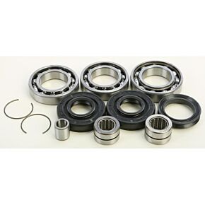 ALL BALLS Front Differential Bearing And Seal Kit