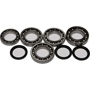 ALL BALLS Front Differential Bearing And Seal Kit