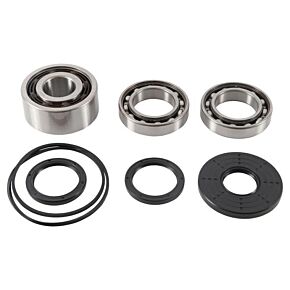 ALL BALLS Front Differential Bearing And Seal Kit