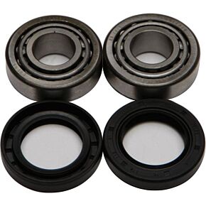 ALL BALLS Front Wheel Bearing Kit