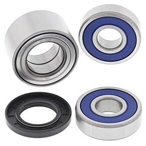 ALL BALLS Indian Rear Wheel Bearing Kit