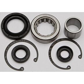 ALL BALLS Inner Primary Bearing And Seal Kit