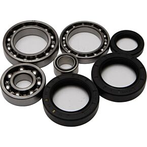 ALL BALLS Rear Differential Bearing And Seal Kit