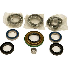 ALL BALLS Rear Differential Bearing And Seal Kit