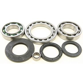 ALL BALLS Rear Differential Bearing And Seal Kit