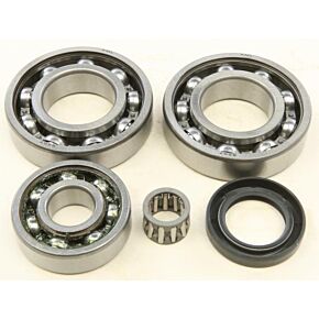 ALL BALLS Rear Differential Bearing And Seal Kit
