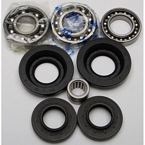 ALL BALLS Rear Differential Bearing And Seal Kit