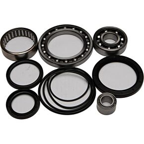 ALL BALLS Rear Differential Bearing And Seal Kit