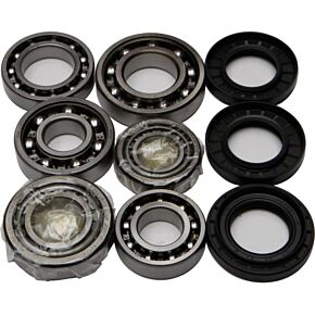 ALL BALLS Rear Differential Bearing And Seal Kit