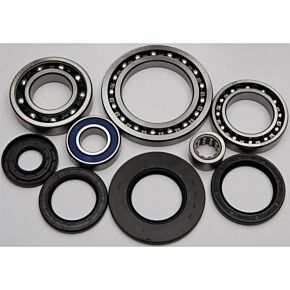 ALL BALLS Rear Differential Bearing And Seal Kit