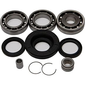 ALL BALLS Rear Differential Bearing And Seal Kit
