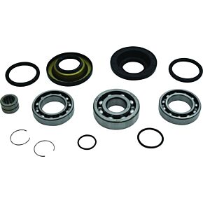ALL BALLS Rear Differential Bearing And Seal Kit