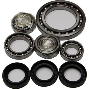 ALL BALLS Rear Differential Bearing And Seal Kit