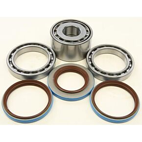ALL BALLS Rear Differential Bearing And Seal Kit