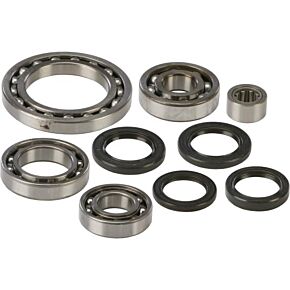 ALL BALLS Rear Differential Bearing And Seal Kit