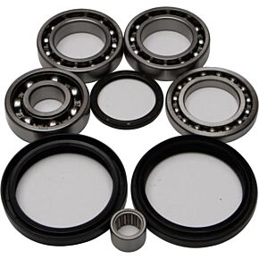 ALL BALLS Rear Differential Bearing And Seal Kit