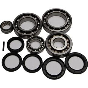 ALL BALLS Rear Differential Bearing And Seal Kit