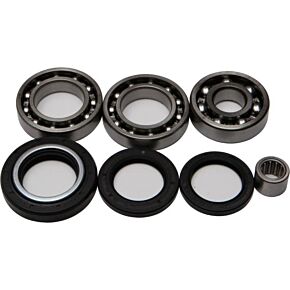 ALL BALLS Rear Differential Bearing And Seal Kit