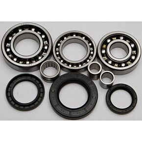 ALL BALLS Rear Differential Bearing And Seal Kit