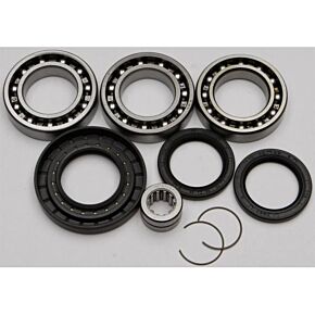 ALL BALLS Rear Differential Bearing And Seal Kit