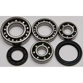 ALL BALLS Rear Differential Bearing And Seal Kit