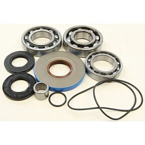 ALL BALLS Rear Differential Bearing And Seal Kit