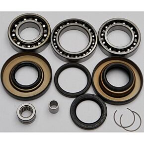 ALL BALLS Rear Differential Bearing And Seal Kit