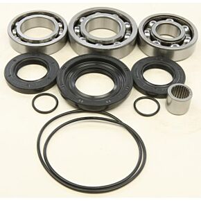 ALL BALLS Rear Differential Bearing And Seal Kit