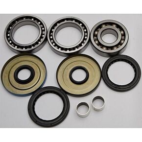 ALL BALLS Rear Differential Bearing And Seal Kit