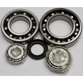ALL BALLS Rear Differential Bearing And Seal Kit