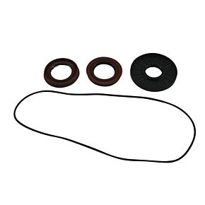 ALL BALLS Rear Differential Seal Kit
