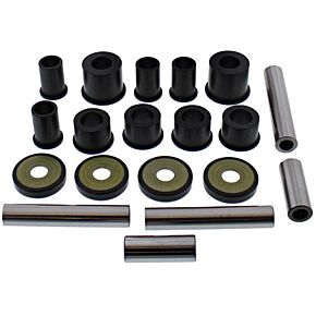 ALL BALLS Rear Ind. Suspension Kit
