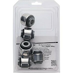 ALL BALLS Rear Independent Susp Kit