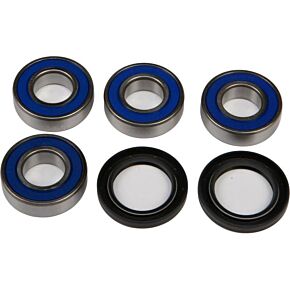 ALL BALLS Rear Independent Suspension Kit