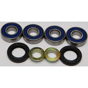 ALL BALLS Rear Independent Suspension Kit