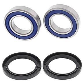 ALL BALLS Rear Wheel Bearing Kit