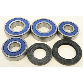 ALL BALLS Rear Wheel Bearing Kit